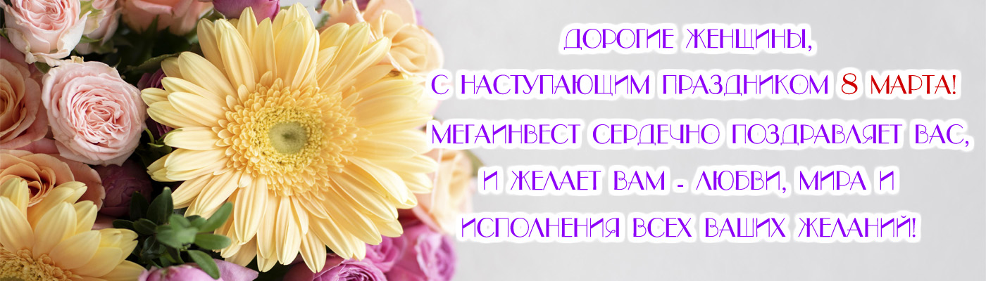 Мегаинвест